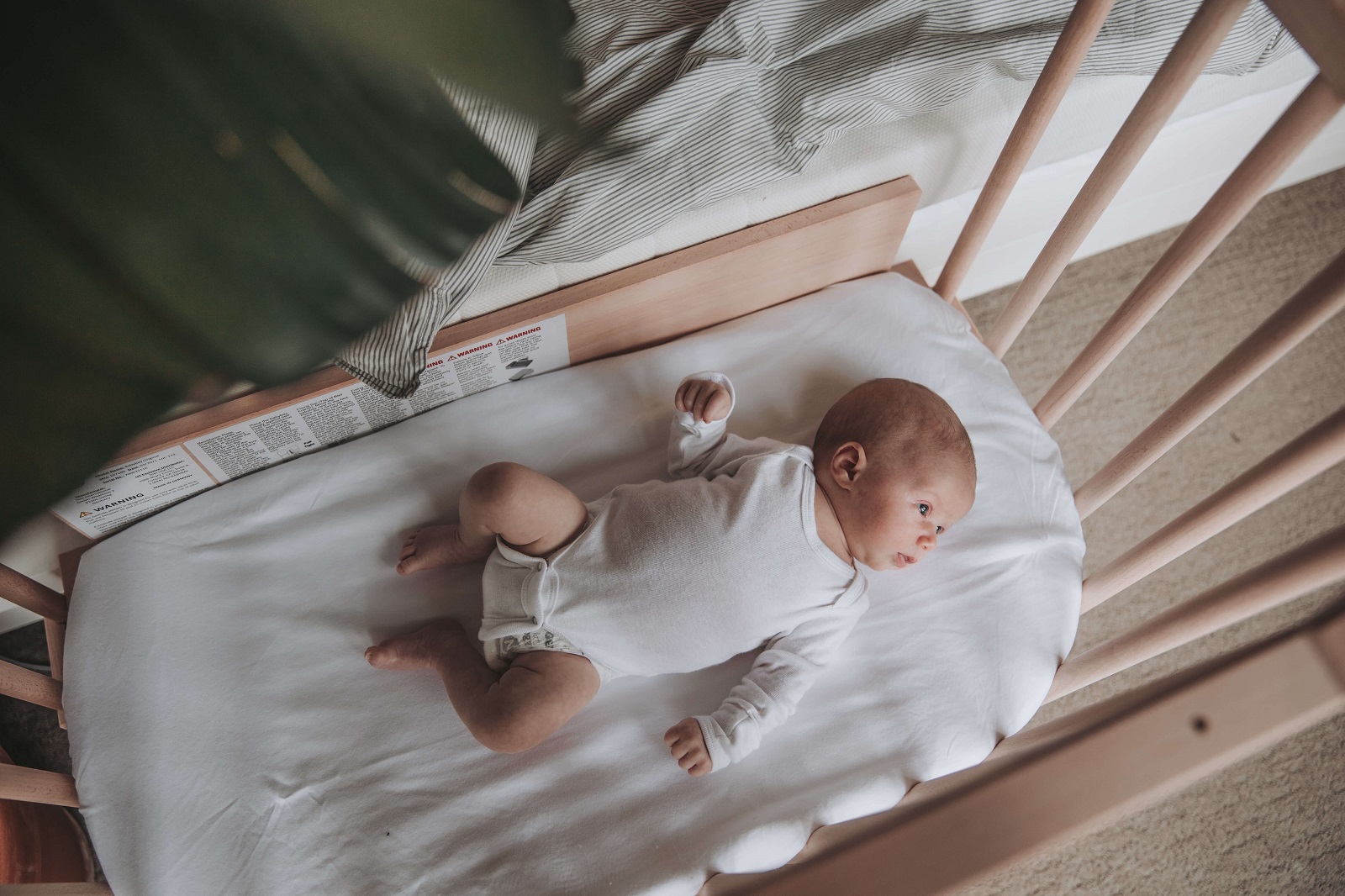 Why is Co Sleeping Bad for Newborns? (Hint: It’s Not!)